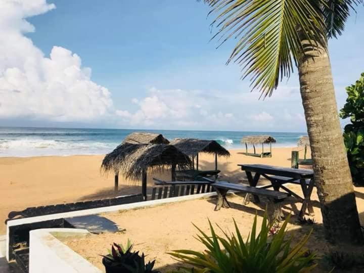 Sea Shine Guest House Hikkaduwa Luaran gambar